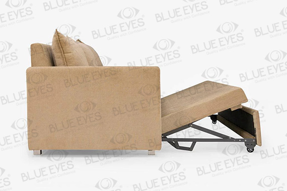 Sofa Cum Bed